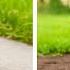 MAKE YOUR FRONT YARD POP Easy Beautiful DIY Garden Ideas