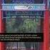 Tokyo S Hidden Shrines You Ve Never Seen Ancient Secrets Revealed