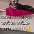 Включи этот звук коту или кошке Подпишись