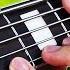 5 STRINGS BASS SOLO
