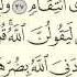 Practice Reciting With Shaykh Ayman Swayd AZ ZUMAR P 462