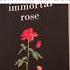 Deep LOVE POEMS That Will Make Her Emotional Lovepoem Lovepoetry