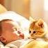 Kitten Walks On Sleeping Baby ENDING Will Melt You Shortsviral