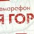 Поздравление с Днём Победы Президента Российской Федерации В В Путина