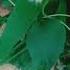 Nature Lovers Manohara Subscribe