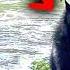 Police Confirm Ohio S Darkest Secret It S Terrifying