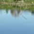 Attraction Притяжение ETOLUBOV Heavenly Reflections At Quarry Lake California Sfbayarea