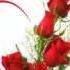 Ask Masali