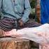 Amazing Beef Processing Skill By Expert Butcher Shorts Best Cow Qurbani CutterMan Butcher
