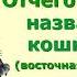 Аудиокнига С Я Маршак Отчего кошку назвали кошкой