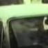 Tashkent Uzbekistan 1981
