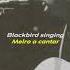 The Beatles Blackbird 1968