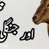A Tour To Mountains With Dr Waseem Ahmad Khan Wild Animal Search On Mountains Jungle Tour