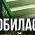 ВЛЮБИЛАСЬ В УБИЙЦУ