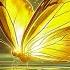 1111 HZ Remove All Blockages Receive The Love Wealth And Blessings Of The Universe