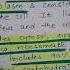 Protoplasm Vs Cytoplasm Understanding The Key Differences
