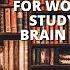 Mozart Classical Music For Studying Working Brain Power