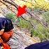 Discovering The Nomadic Life Of The Ishaq Family A Journey Of Hardship And Heartfelt Moments