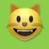 Party Cat