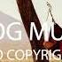Lakey Inspired Chill Day VLOG MUSIC No Copyright
