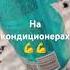 1 литр энджера вам или 2 другому