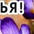 Поздравление с ДНЕМ РОЖДЕНИЯ в АПРЕЛЕ Видео поздравление с днем рождения