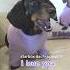 A Song For Grandma And Grandpa Starboxdachshunds