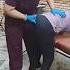 Physiotherapist Motivation Chiropractor Physio Tailbonepain Treatment Trending Doctor Musi