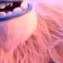 Smallfoot 2018 Meeting Bigfoot Scene 5 10 Movieclips