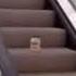 Mayonnaise On An Escalator