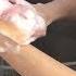 Anatomical Surgical Hand Scrub