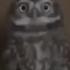 Ronnie The Owl