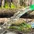 The Flood In The Dugout I Can T Go Inside I M Pumping Out The Water Bushcraft Shelter Short