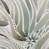 Experimental Series Creative Mutation Easy Relaxing WATERCOLOR 278 Part 2