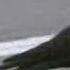 Wild Crows Inhabiting The City Use It To Their Advantage David Attenborough BBC Wildlife