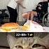 Aura Cat Funny Cat Meme Funny Trending