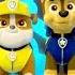 PAW Patrol Italian Official Theme Song Music Nick Jr