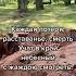 стихи ожизни прожизнь светланатеребилина
