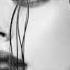 LELY45 Моя душа Hayit Murat Remix