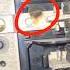 Microwave On Lighting Circuit Damaged Bus Bar In Palm Beach Gardens Fl Simon Electric Electrician