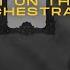 AViVA BLAME IT ON THE KIDS ORCHESTRAL ALBUM