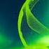 D Higgs Waves Feat Alan Avry