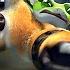 Tai Lung Contro I Cinque Contro Il Ponte Kung Fu Panda Clip In Italiano