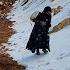 Mountains And The Sorrow Of Separation Zuleikha And A Mother S Journey With Her Children