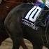 Arrogate Wins The Breeders Cup Classic From California Chrome