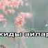 Сағынғанда караоке казакша Айгерім Мамырова минус