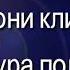 Пони клип Я дура полная