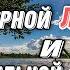 СТИХОТВОРЕНИЕ ШЕДЕВР Лежали в больнице в палате одной Светлана Копылова