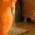 Shunn U Katun