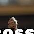 Boss Level Ending Explained